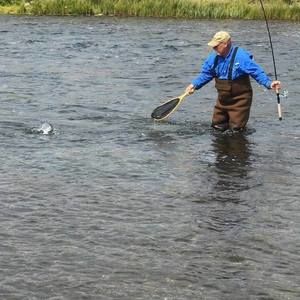 Meet your Posher, Larry